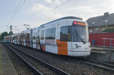 26.11.2022 GTZ8-B 5019 Haltestelle ELP.jpg