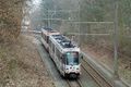 556 08.03.2013 Bielefeld, Am Wellbach.jpg