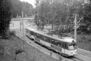 830 02.10.1981 Bielefeld-Senne.jpg
