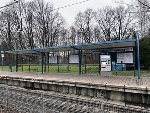 24.01.2022 Haltestelle GSS Richtung LOH.jpg