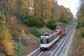 546 09.11.2012 Bielefeld, Baumheide.jpg