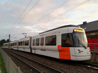 5035 Elpke 20.01.2023.jpg